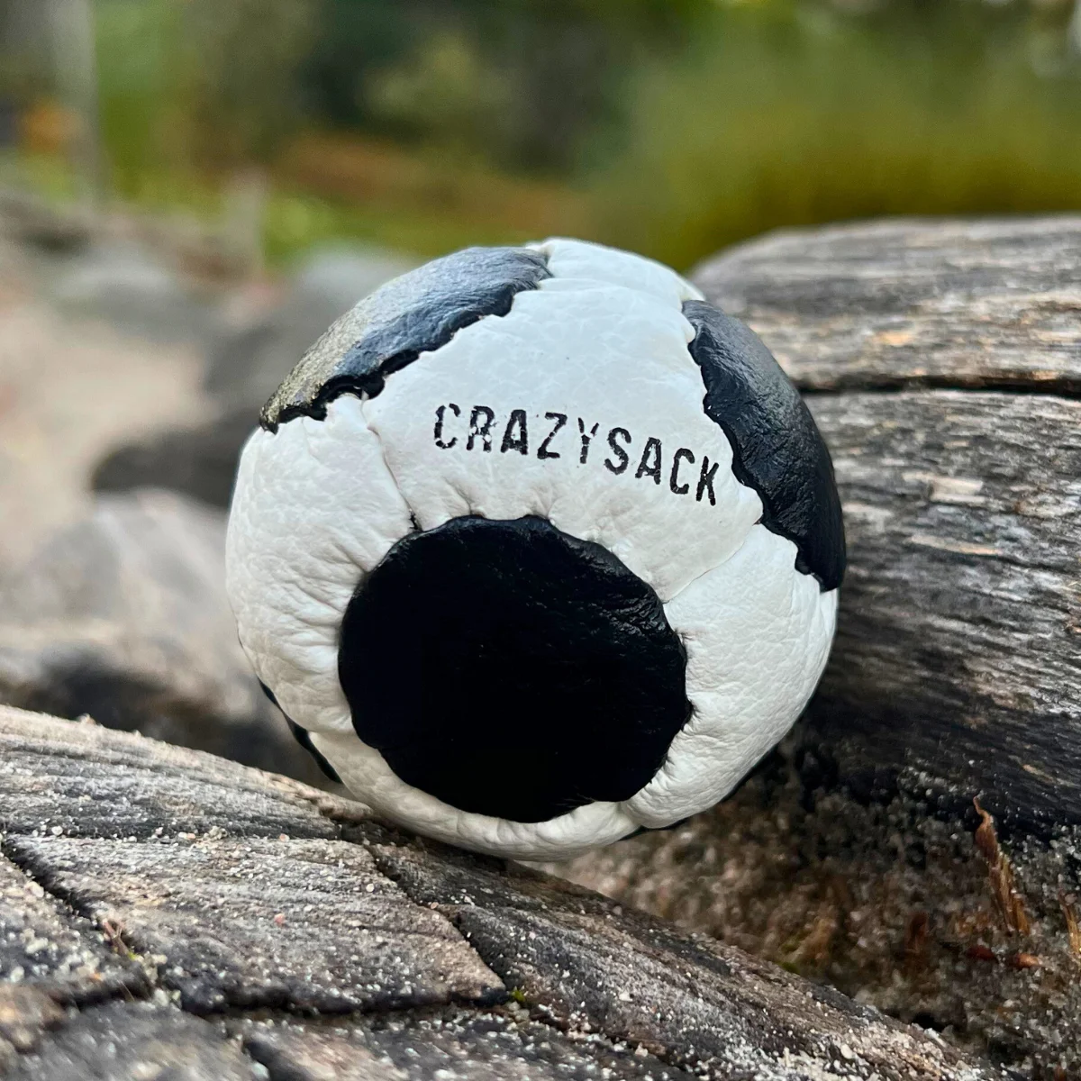 CRAZYSACK 14-Panel Netbag Schwarz-Weiß auf Holzuntergrund – professioneller Netzball für Training und Freestyle